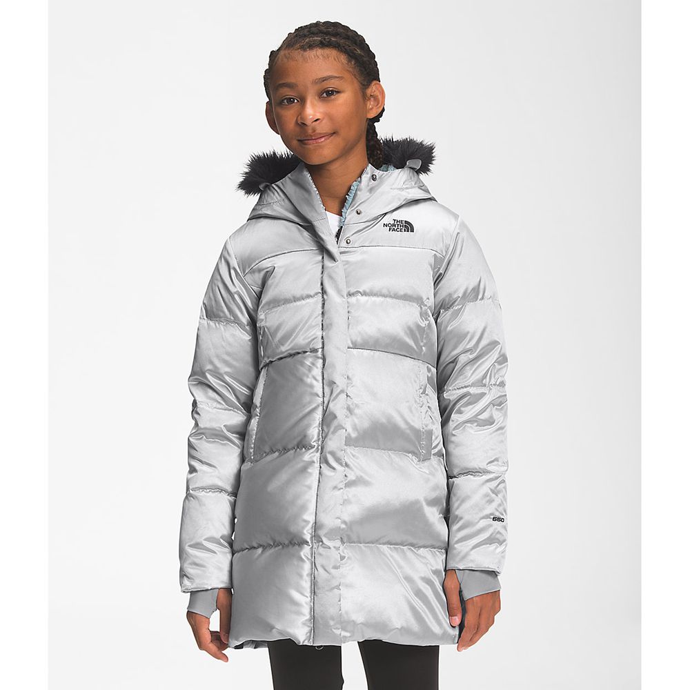 The North Face Parka Girls Australia - The North Face Printed Dealio Fitted Grey (CQM-405321)